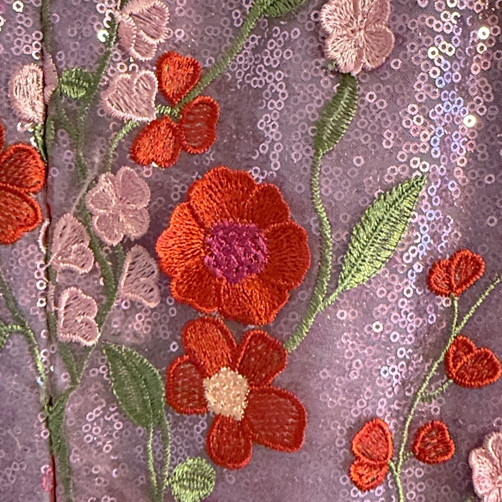 Floral Pink and Red Helsi dress NWT size XL - Picture 6 of 7